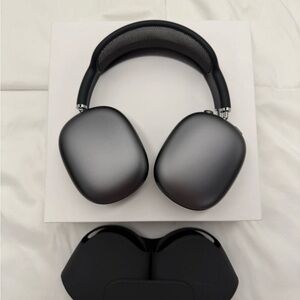 Apple AirPods Max in Elegant Gray